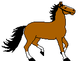 cavallo
